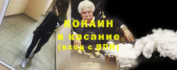 гидра Козловка