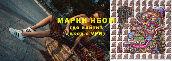 гидра Козловка