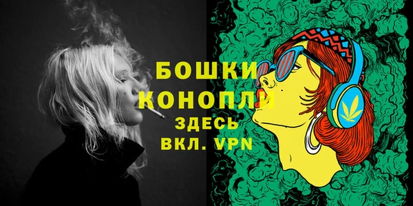 гидра Козловка