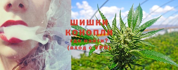 гидра Козловка