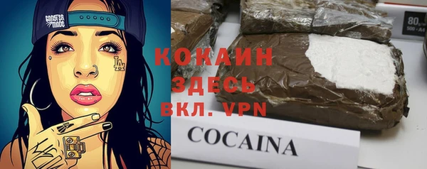 твердый Кинешма